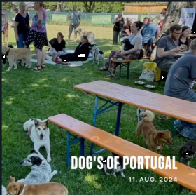 Hunde aus Portugal